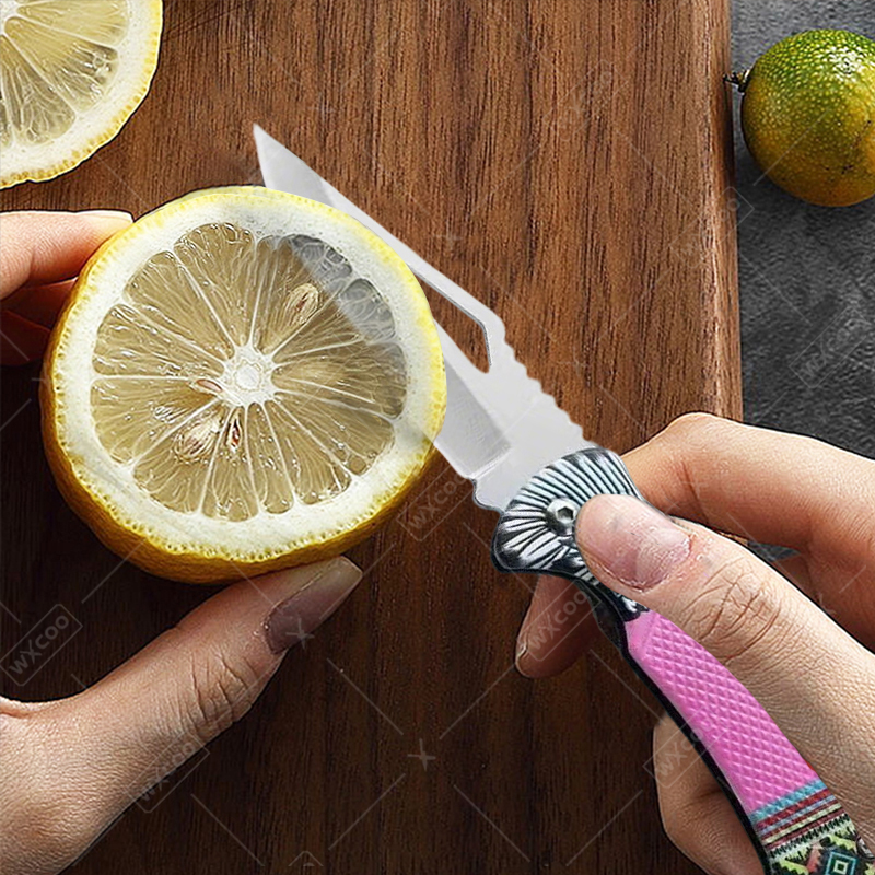 WXCOO Folding Knife Stainless  – Kitchen Baking Store Bewertung und Preis
